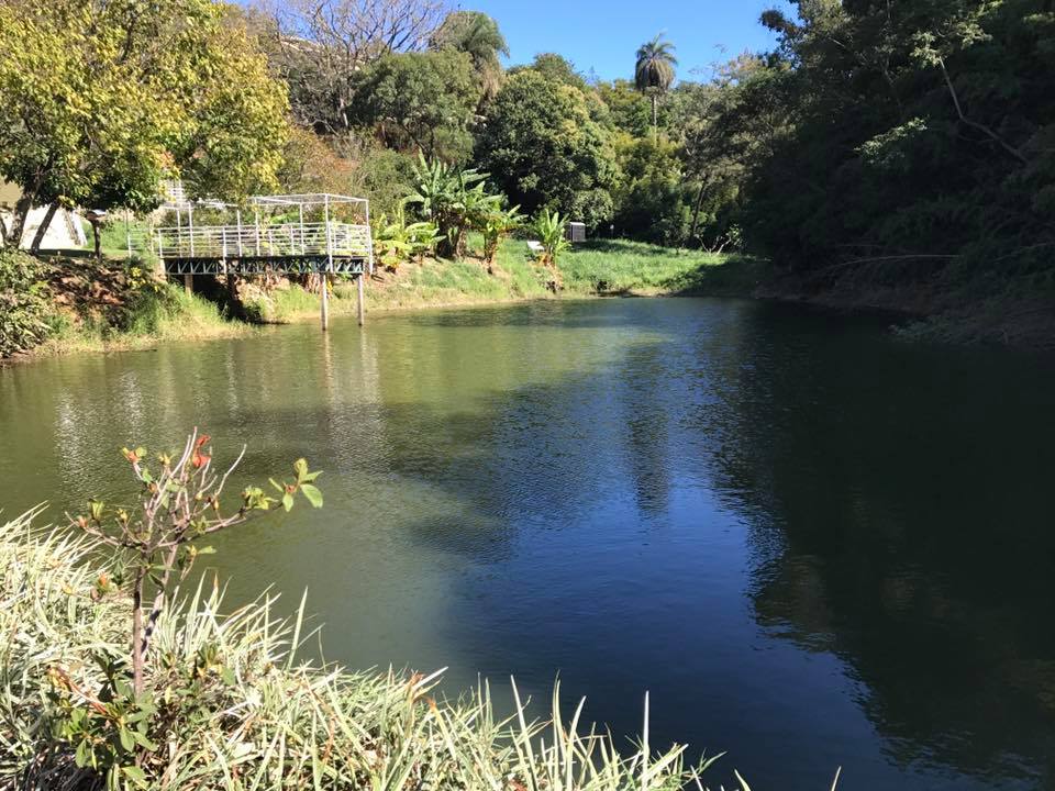 lagoa.jpg