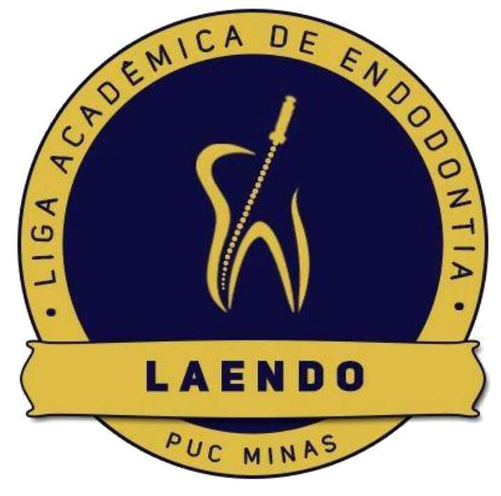 Imagem4.jpg